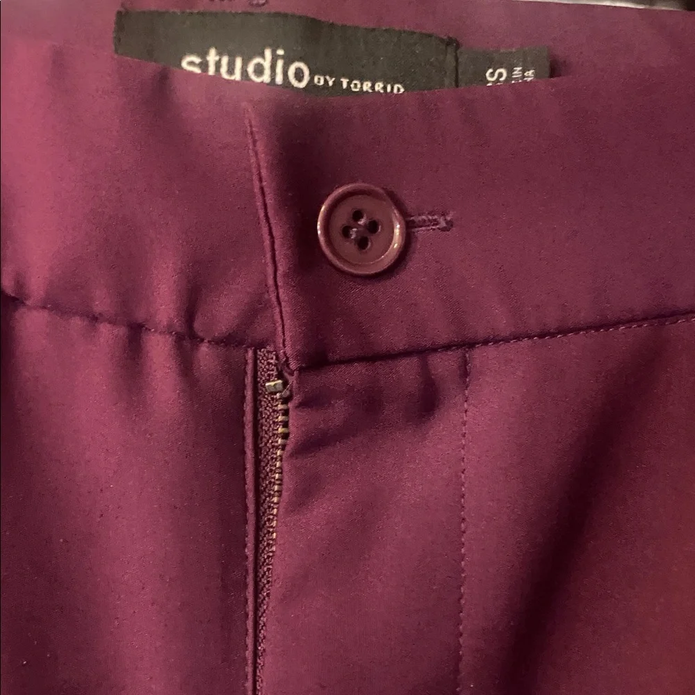 Torrid Deep Purple Trousers - Picture 3 of 5